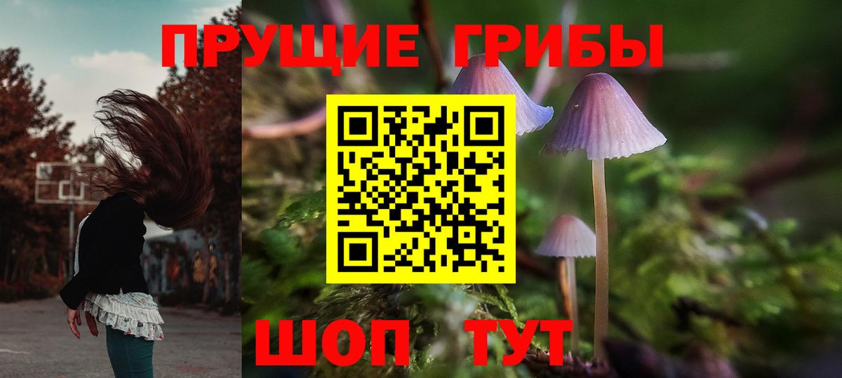 Прокопьевск  Псилоцибиновые грибы GOLDEN TEACHER  даркнет сайт  Вход с VPN 