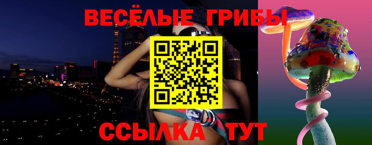 Псилоцибиновые грибы мицелий Прокопьевск